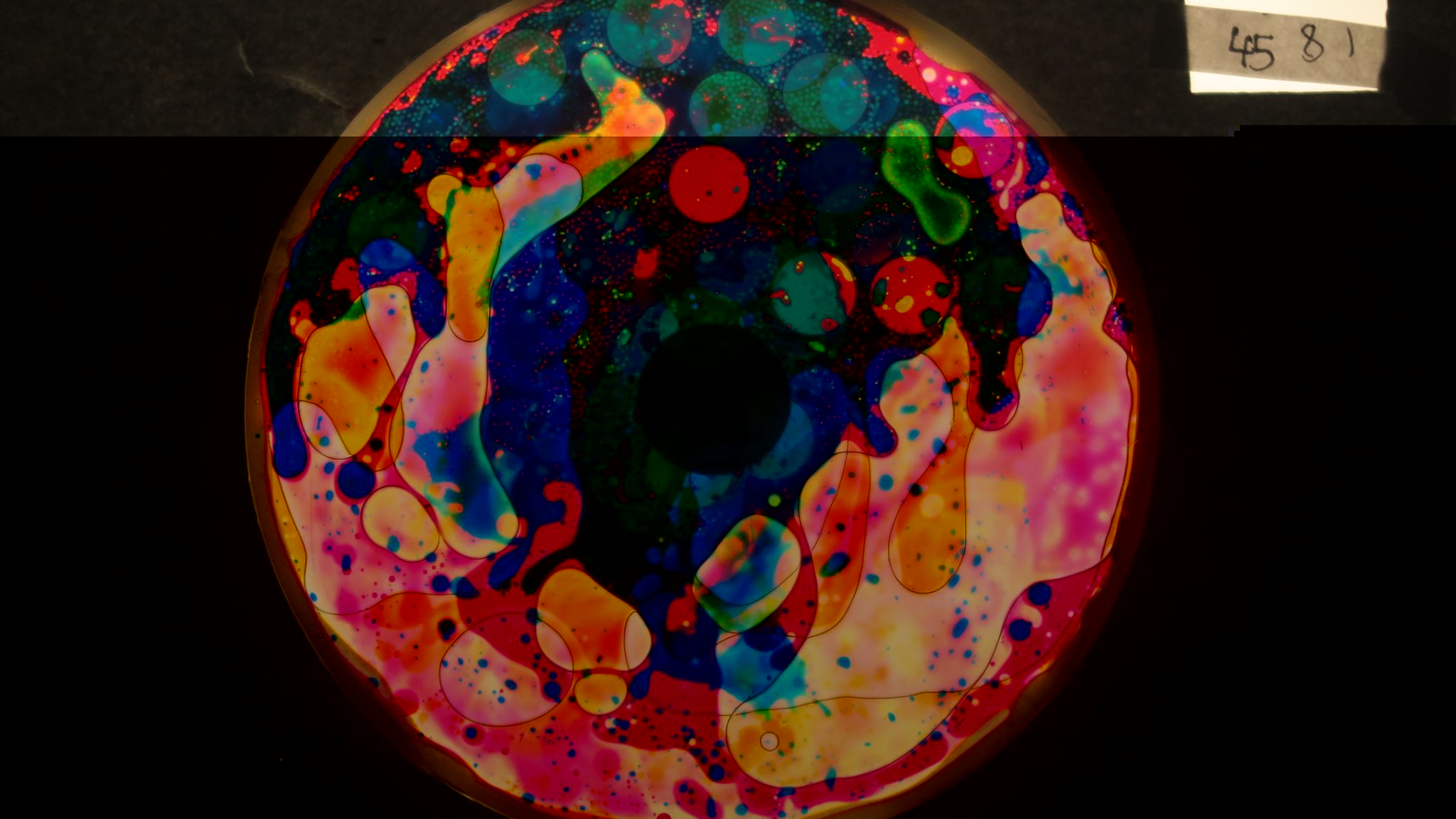 BV4581 bubble vision oil wheel